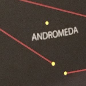 Meet your Posher, Adrienne